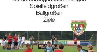 Flyer Junioren Saison 2019-2020