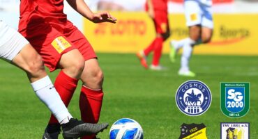 Vorlage FB – 1